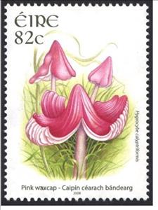 Stamp, Pink Waxcap - Hygrocybe calyptriformis, Ireland,  , Mushrooms