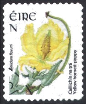 Stamp, Yellow horned-poppy - Glaucium flavum, Ireland,  , Flowers, Plants (Flora)