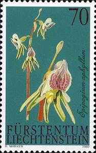 Stamp, Ghost Orchid, Liechtenstein,  , Orchids