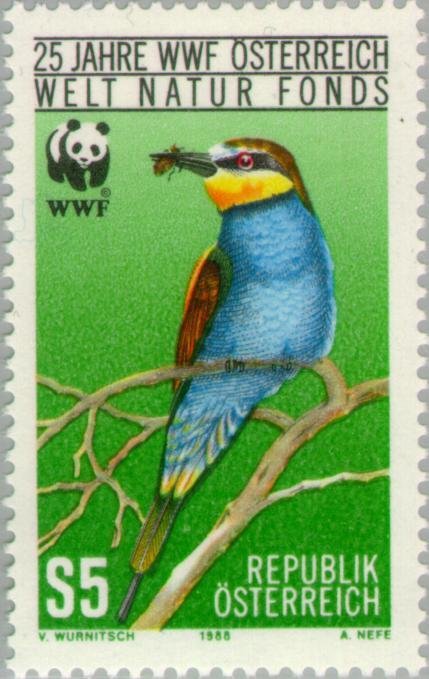European Bee-eater (Merops apiaster)
