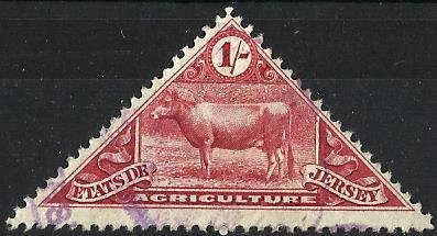 Jersey Cow