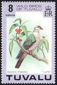 Stamp, Pacific Imperial-pigeon (Ducula pacifica), Tuvalu,  , Birds, Animals (Fauna)