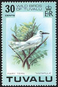Stamp, White Tern (Gygis alba), Tuvalu,  , Birds, Animals (Fauna)