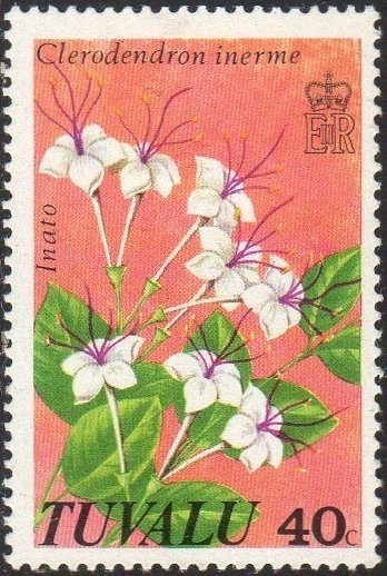 Clerodendron inerme