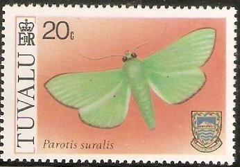 Moth (Parotis suralis)