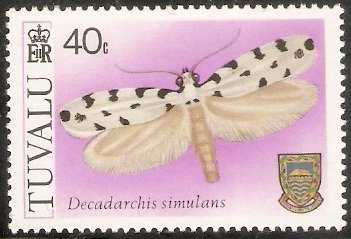 Moth (Decadarchis simulans)