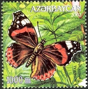 Red Admiral (Vanessa atalanta)