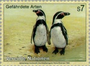 Stamp, Humboldt Penguin (Spheniscus humboldti, UNO Vienna,  , Birds, Penguins, Animals (Fauna)