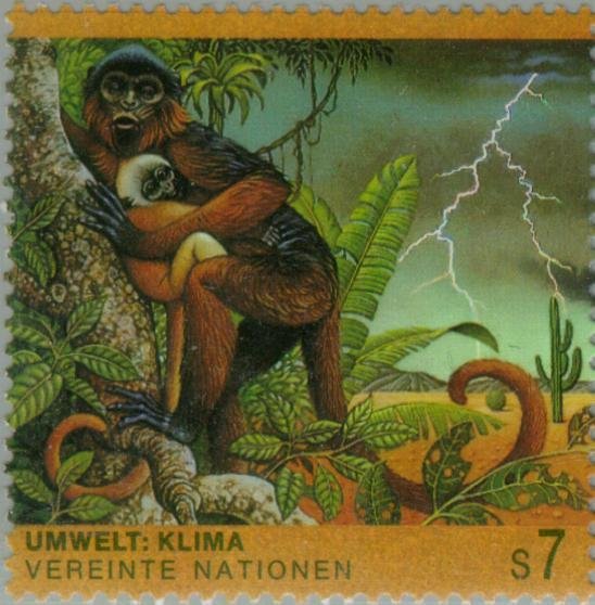 Western Red Colobus (Piliocolobus badius)