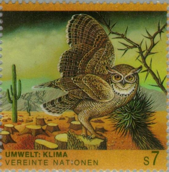 Great Horned Owl (Bubo virginianus)