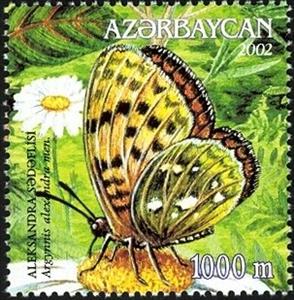 Stamp, Fritillary Butterfly (Argynnis alexandra), Azerbaijan,  , Butterflies