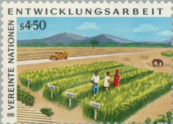 Development programm