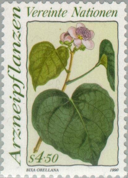 Medicinal flowers. Bixa orellana