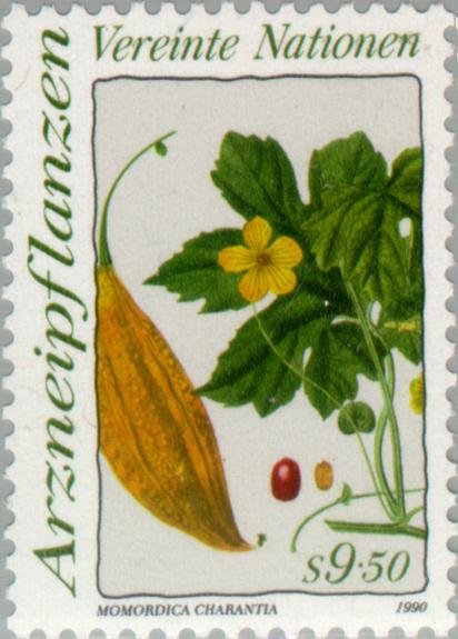 Medicinal flowers. Momordica charantia