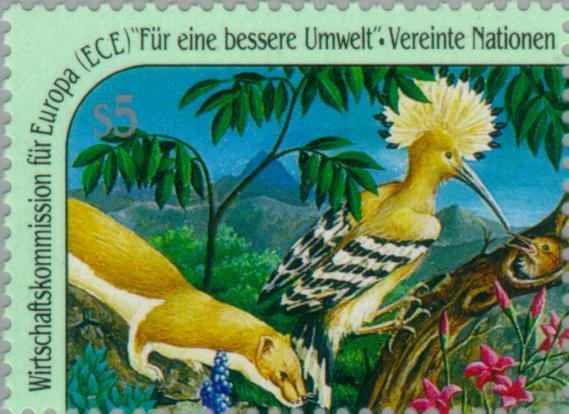 Eurasian Hoopoe (Upupa epops), Stoat (Mustela ermina)