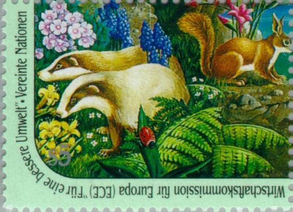 European Badger (Meles meles), Red Squirrel (Sciurus vulgari