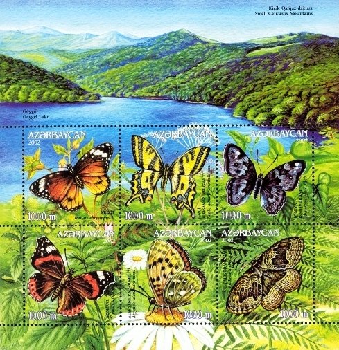 Butterflies