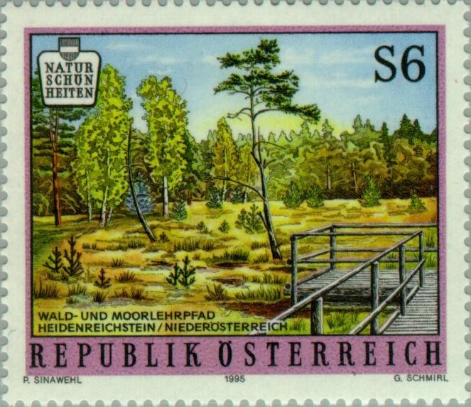 Moor near Heidenreichstein (Lower Austria)