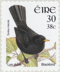 Stamp, Common Blackbird (Turdus merula), Ireland,  , Birds, Animals (Fauna)