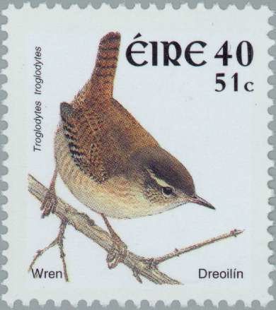 Eurasian Wren (Troglodytes troglodytes)