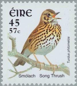 Stamp, Song Thrush (Turdus philomelos), Ireland,  , Birds, Animals (Fauna)