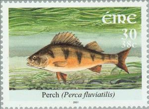 Stamp, European Perch (Perca fluviatilis), Ireland,  , Animals (Fauna), Fishes