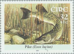 Stamp, Pike (Esox lucius), Ireland,  , Animals (Fauna), Fishes