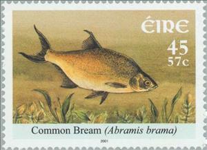 Stamp, Common Bream (Abramis brama), Ireland,  , Animals (Fauna), Fishes