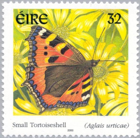 Small Tortoiseshell (Agalis urticae)