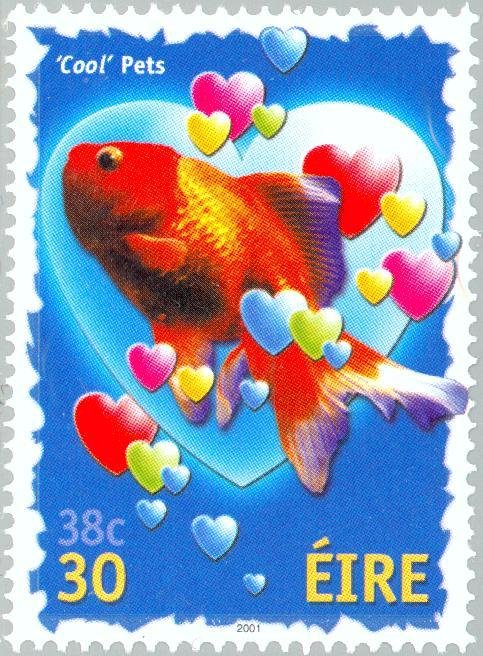 Cool Pets - Goldfish