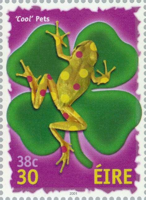 Cool Pets - Frog