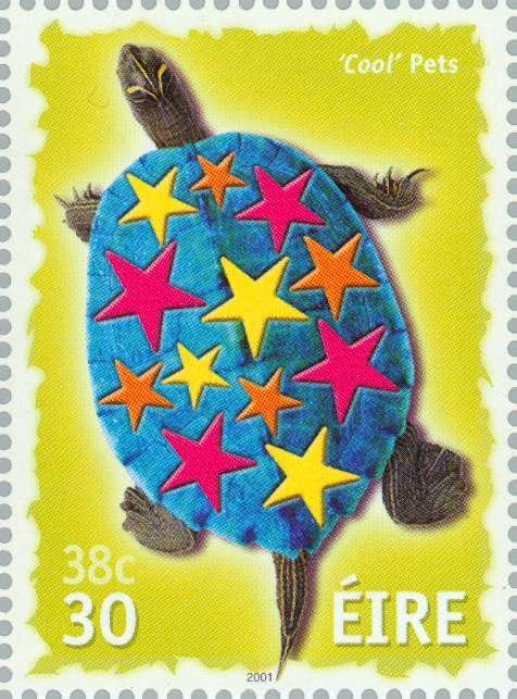 Cool Pets - Tortoise