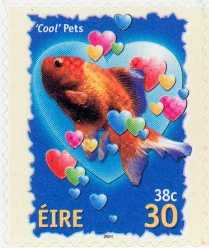 Cool Pets - Goldfish