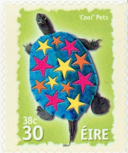Cool Pets - Tortoise
