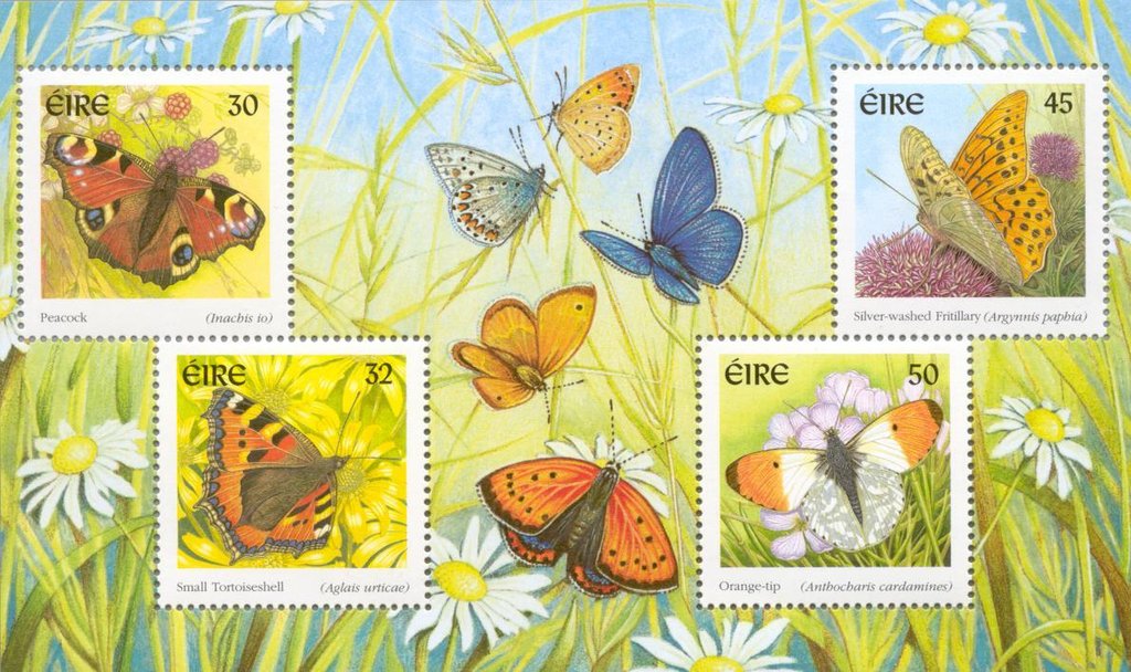 Butterflies