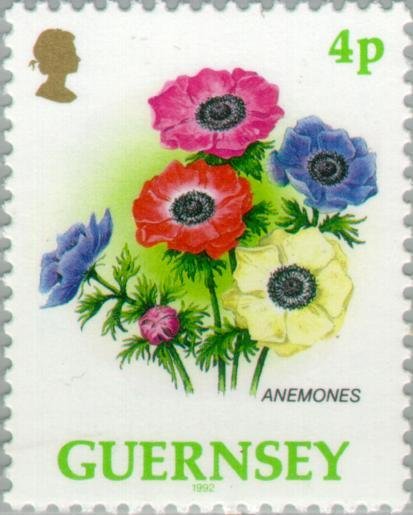 Anemones