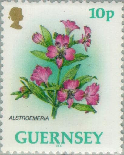 Alstroemeria