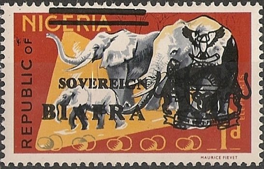 African Elephant (Loxodonta africana)