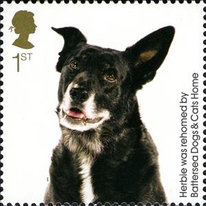 Stamp, Herbie (Canis lupus familiaris), United Kingdom of Great Britain & Northern Ireland,  , Dogs, Animals (Fauna)