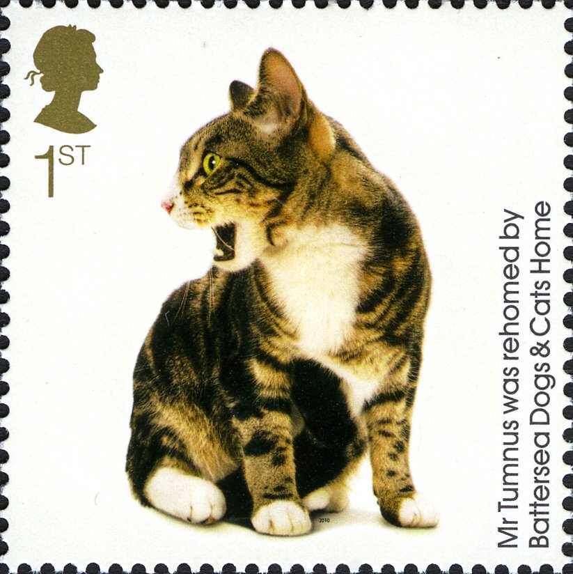 Mr Tumnus (Felis silvestris catus)