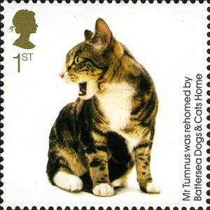 Stamp, Mr Tumnus (Felis silvestris catus), United Kingdom of Great Britain & Northern Ireland,  , Cats, Animals (Fauna)