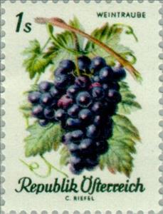 Stamp, Grape vine (Vitis vinifera), Austria,  , Fruits, Plants (Flora)