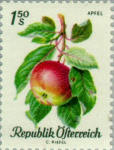 Stamp, Apple (Malus sylvestris var. domestica), Austria,  , Fruits, Plants (Flora)