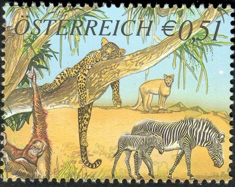 Zebra (Equus sp.), Lioness (Panthera leo), Orangutan (Pongo 
