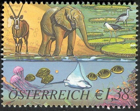 Gemsbok (Oryx gazella), Afrik. Elephant (Loxodonta africana)