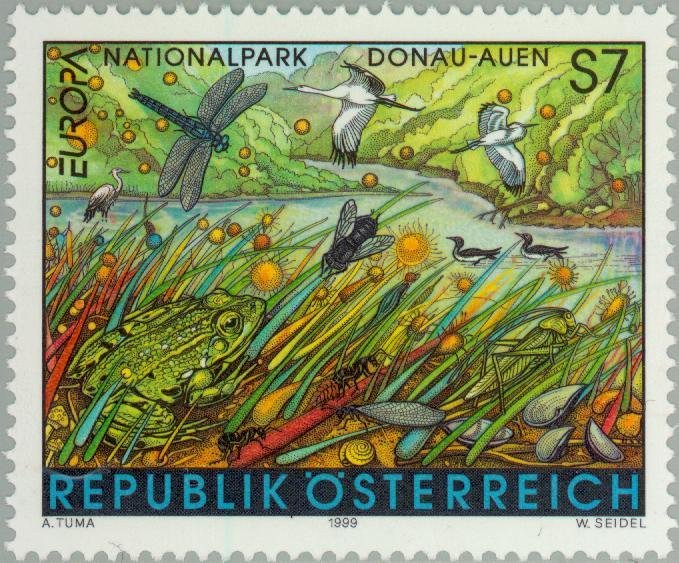 Donau-Auen National Park, Dragonfly, Grey Heron, Common Frog