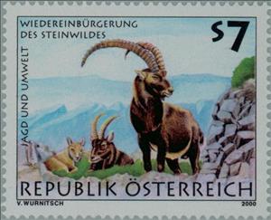 Stamp, Alpine Ibex (Capra ibex), Austria,  , Mammals, Hunting, Animals (Fauna)