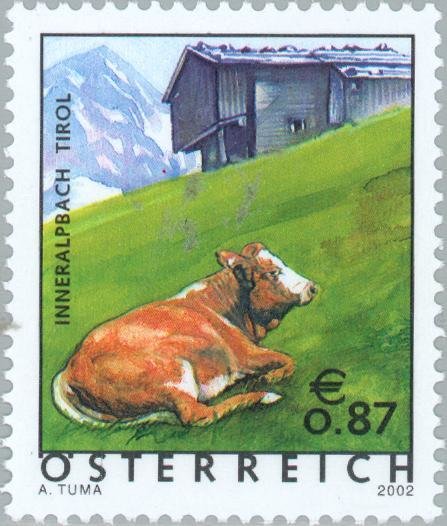 Inneralpbach, Tyrol - Cattle (Bos primigenius taurus)