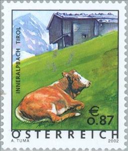 Stamp, Inneralpbach, Tyrol - Cattle (Bos primigenius taurus), Austria,  , Mammals, Tourism, Cattle, Animals (Fauna)