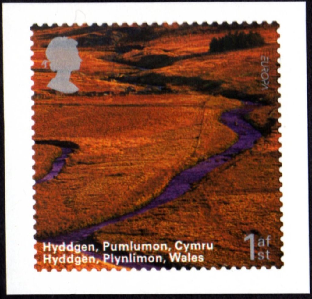 Hyddgen, Plynlimon S/A
